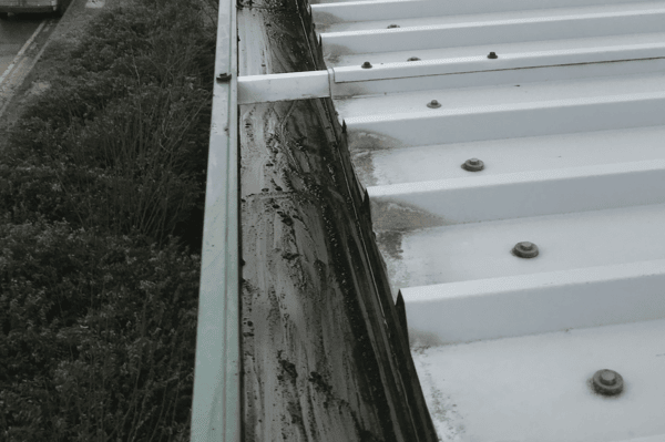 Commercial gutter cleaning specialists in Sandhurst